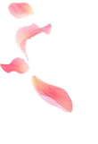 pngwing.com.png